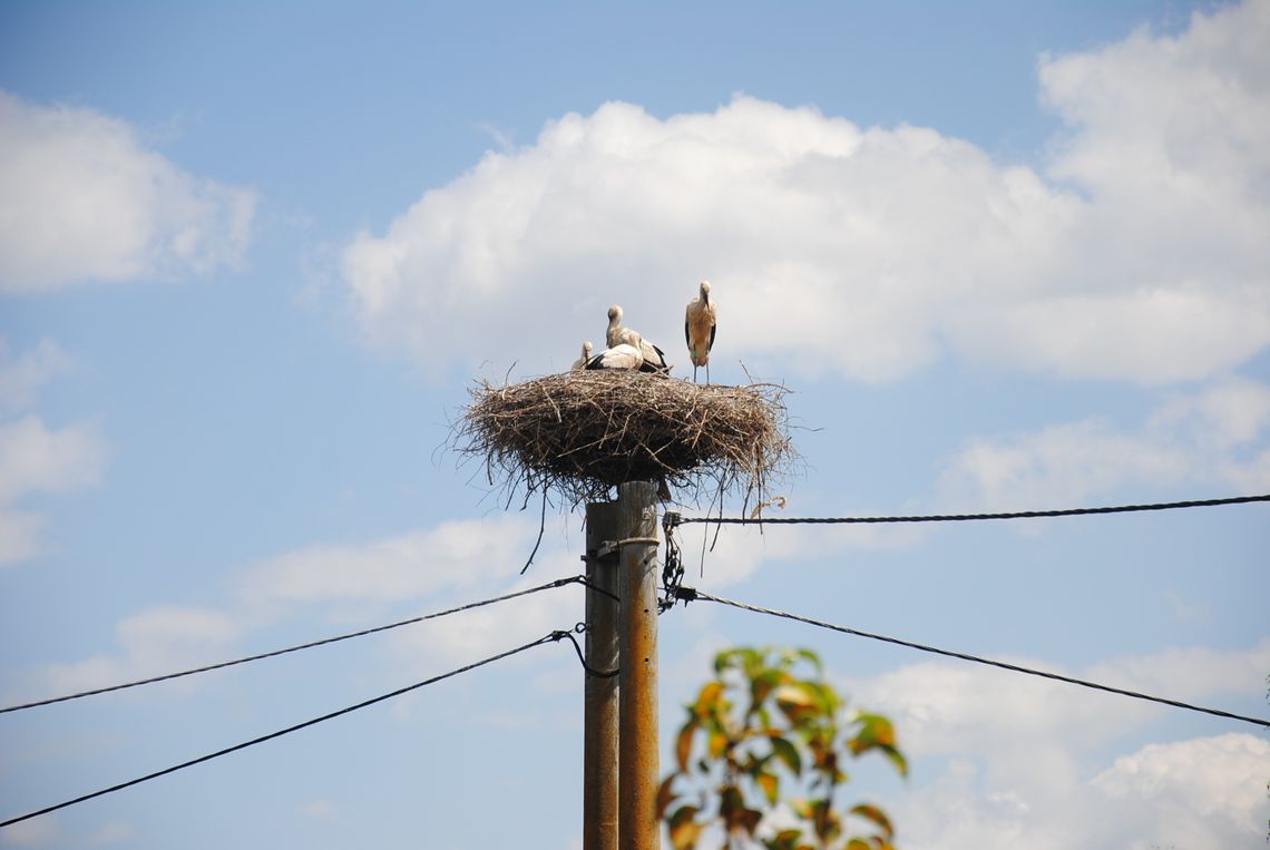 Świat za oknem. Lot nad glinianką