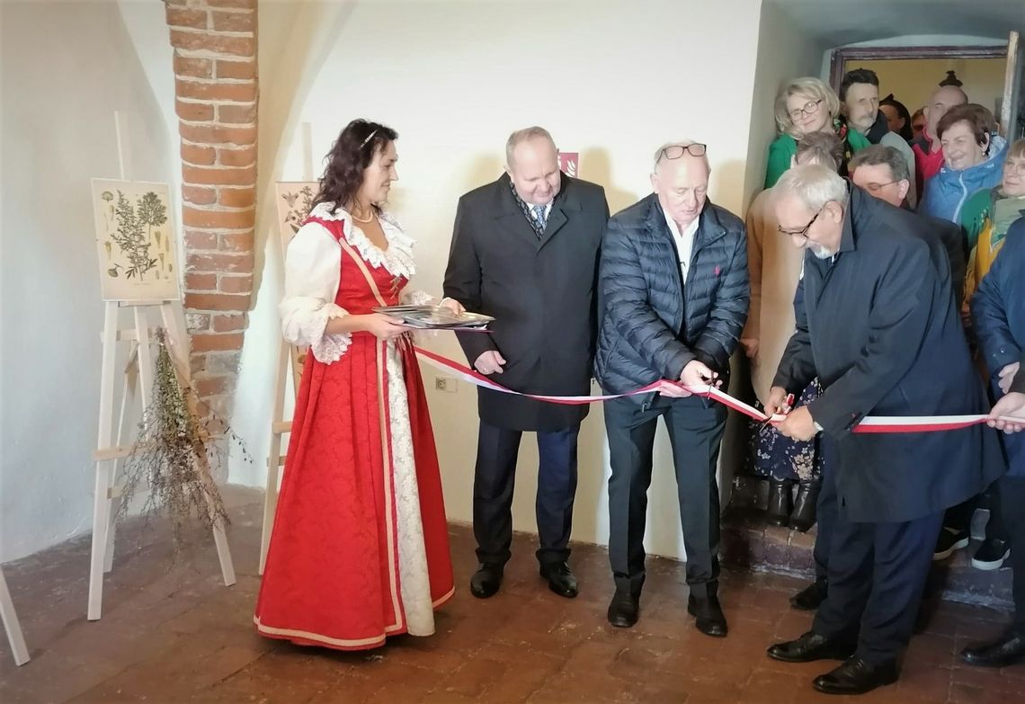 W centrum zielarstwa. Anna Wazówna – patronka ziół