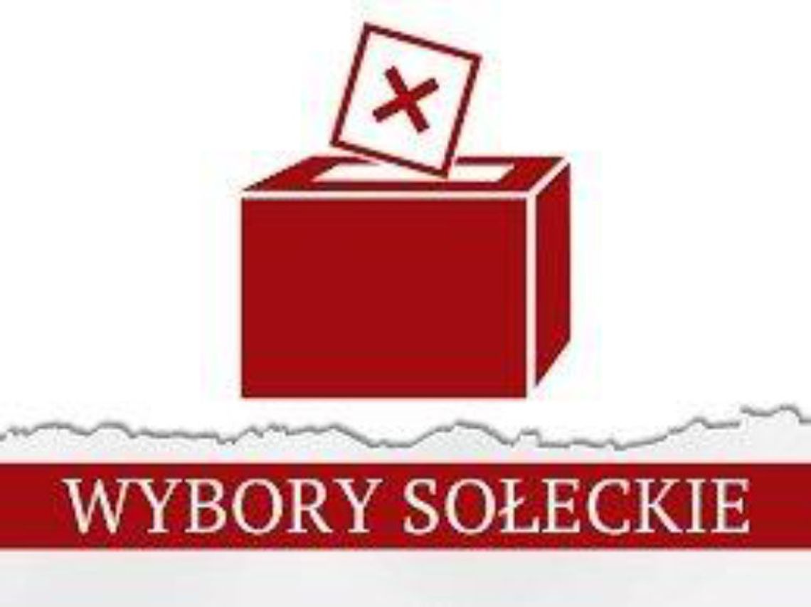 Wybory Sołtysów i Rad Sołeckich w Gminie Brodnica