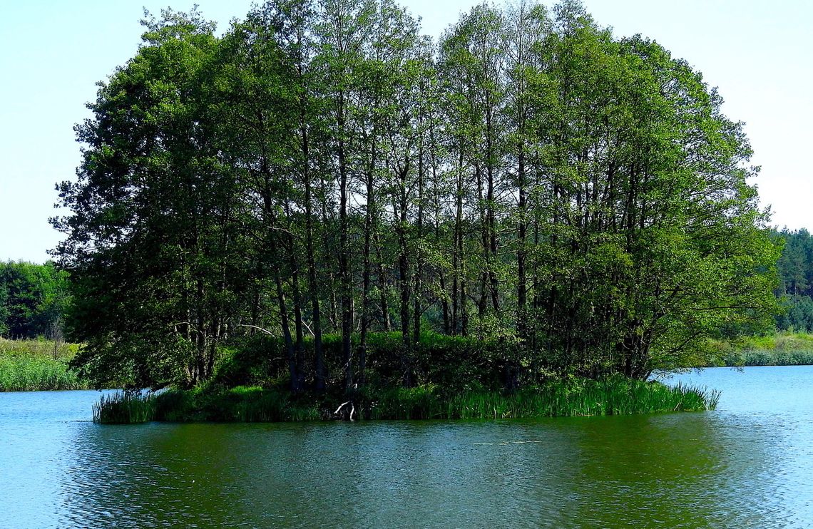 Wyspa skarbów