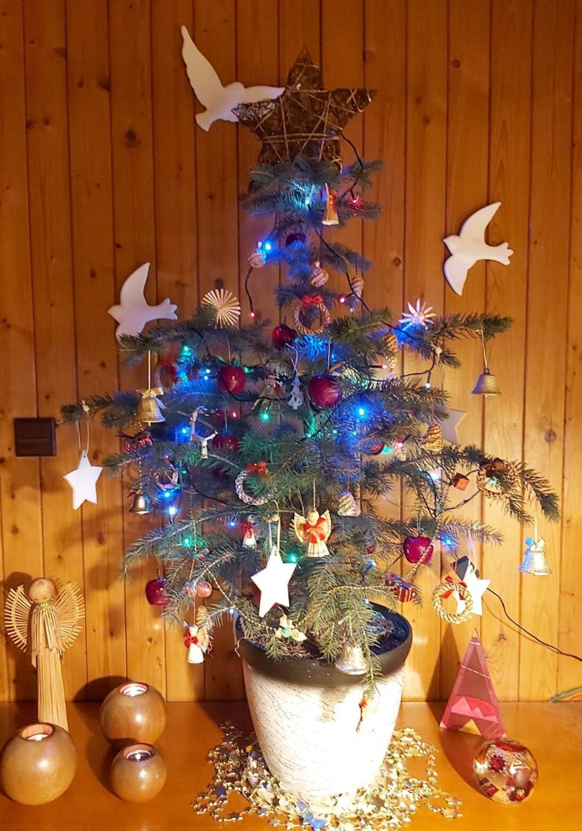 Z życia wzięte. Gwiazda nad rodzinnym domem